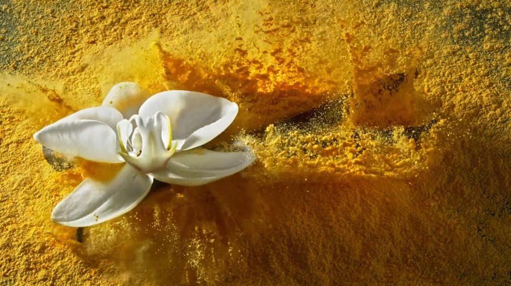 EyeCandy - Showreel 2019 (Director's Reel)