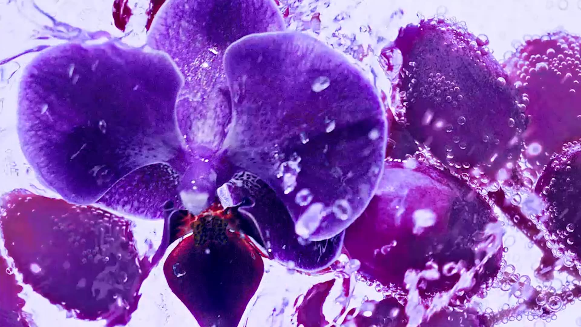 Unilever - Lux - Grape and Orchid Bodywash