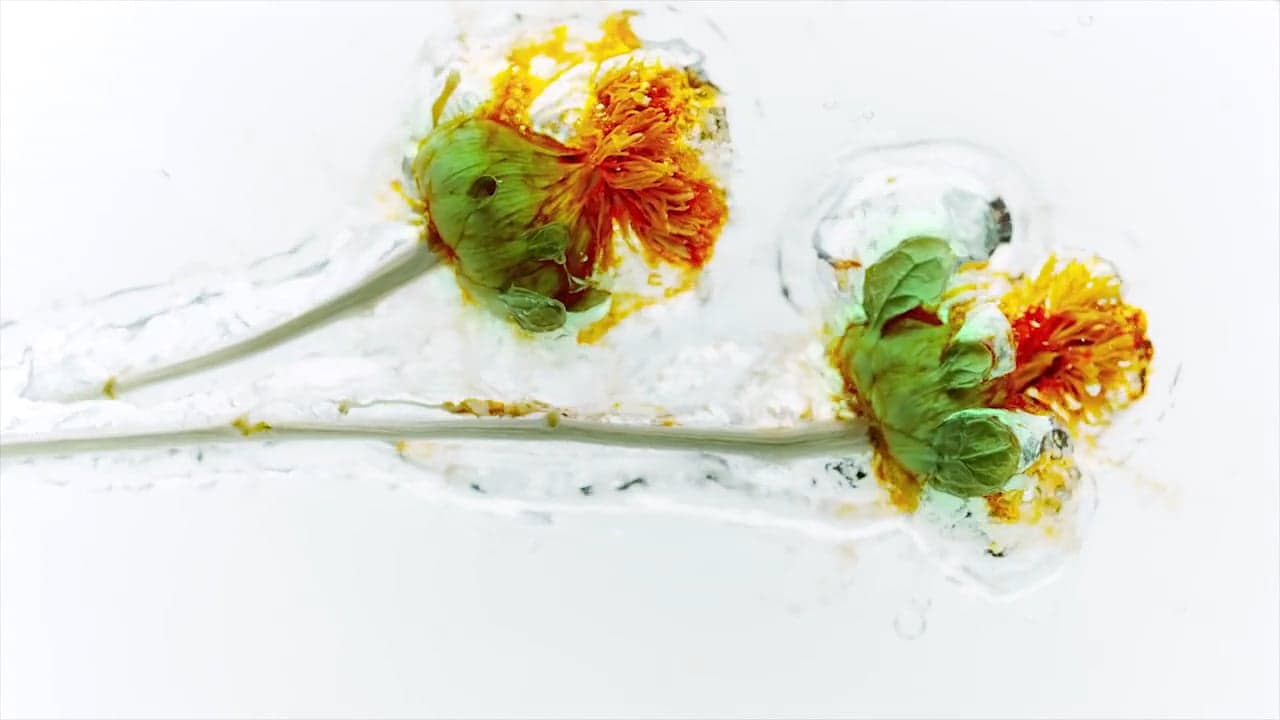 [REEL] FoodFilm - L'Oreal Paris