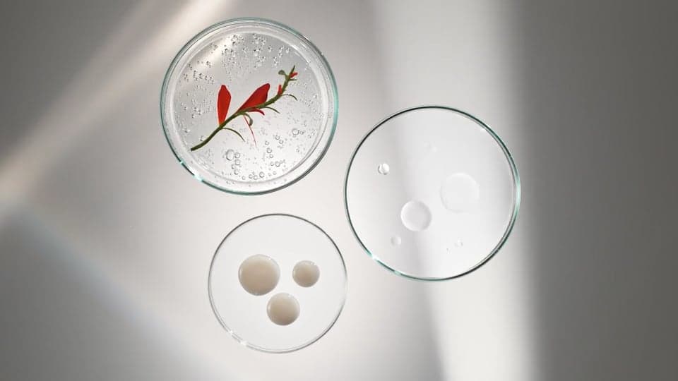 IBSA Profhilo - Moisturizer